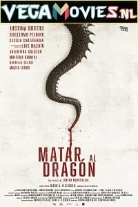 Download To Kill the Dragon (2019) Dual Audio {Hindi-French} 480p [300MB] | 720p [900MB] –