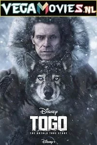 Download Togo (2019) Full Movie {English with Subtitles} WEB-DL 480p [450MB] | 720p [1GB] | 1080p [1.8GB] –