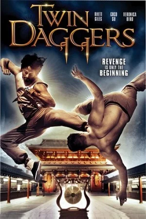 Download Twin Daggers (2008) Dual Audio {Hindi-English} 480p [300MB] | 720p [1.2GB] –