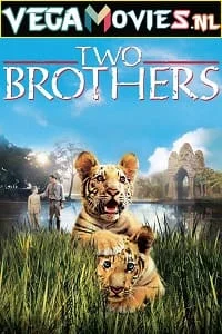 Download Two Brothers (2004) Dual Audio [Hindi-English] WeB-DL 480p [350MB] | 720p [1GB] –