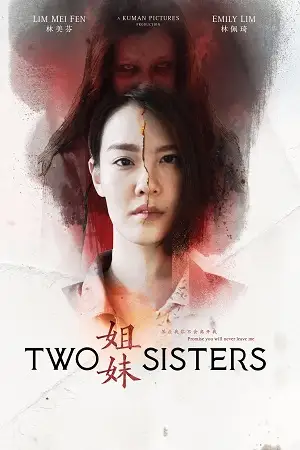 Download Two Sisters (2019) WEB-DL Dual Audio {Hindi-Chinese} 480p [310MB] | 720p [890MB] | 1080p [2GB] –