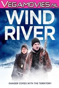 Download Wind River (2017) Bluray English 480p [350MB] | 720p [750MB] –