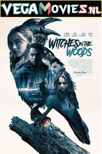 Download Witches In The Woods (2019) Dual Audio {Hindi-English} 480p [300MB] | 720p [900MB] | 1080p [1.7GB] –