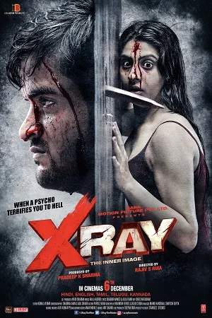 Download X Ray: The Inner Image (2019) Hindi Full Movie 480p [300MB] | 720p [1GB] HDRip –