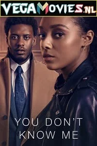 Download You Don’t Know Me (Season 1) Dual Audio [Hindi-English] Complete Netflix Web Series 480p | 720p | 1080p WEB-DL –