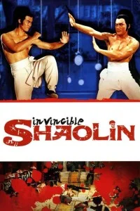 Download Invincible Shaolin (1978) Dual Audio {Hindi-English} 480p [400MB] | 720p [1.2GB] BluRay –