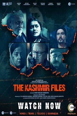 Download The Kashmir Files (2022) WEB-DL Hindi Full Movie 480p [400MB] | 720p [1.1GB] | 1080p [2.3GB] –