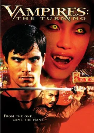 Download Vampires: The Turning (2005) Dual Audio {Hindi-English} 480p [300MB] | 720p [800MB] –