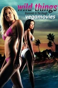 Download [18+] Wild Things 3 (2005) Full Movie in Hindi 480p [300MB] | 720p [800MB] –